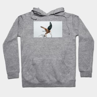 Hawk Hoodie